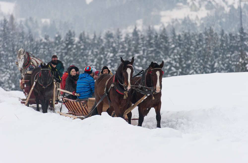 CHOCHOLOWSKA – Kuligi Zakopane