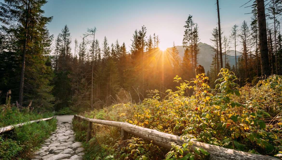 Spacery z przewodnikiem Zakopane